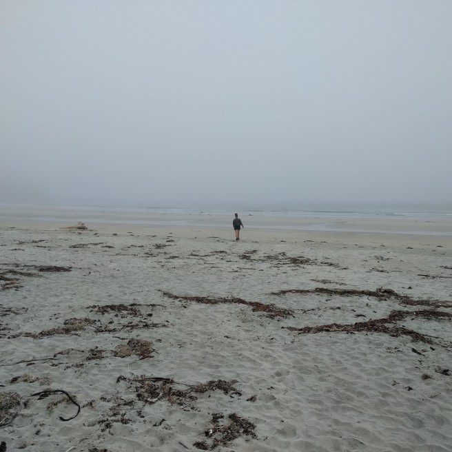 A monochromatic morning